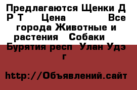 Предлагаются Щенки Д.Р.Т.  › Цена ­ 15 000 - Все города Животные и растения » Собаки   . Бурятия респ.,Улан-Удэ г.